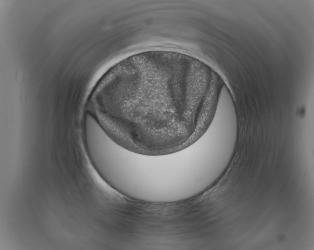 X0000091961531200709271336