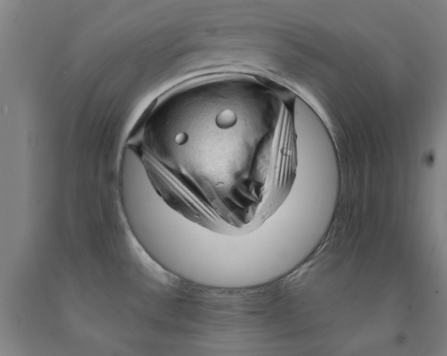 X0000091961532200709271336