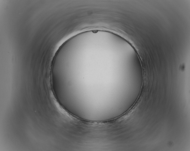 X0000091961534200709271336