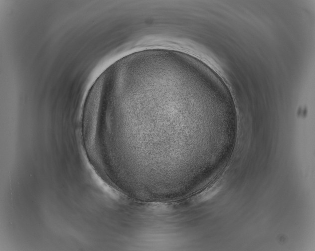 X0000091961536200709271336