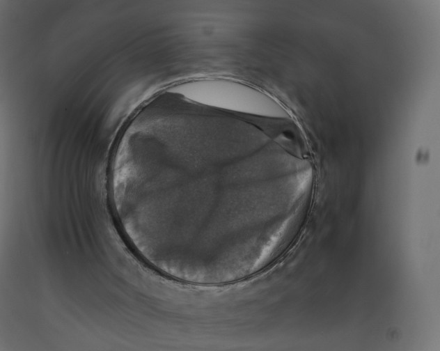 X0000091960002200710041038