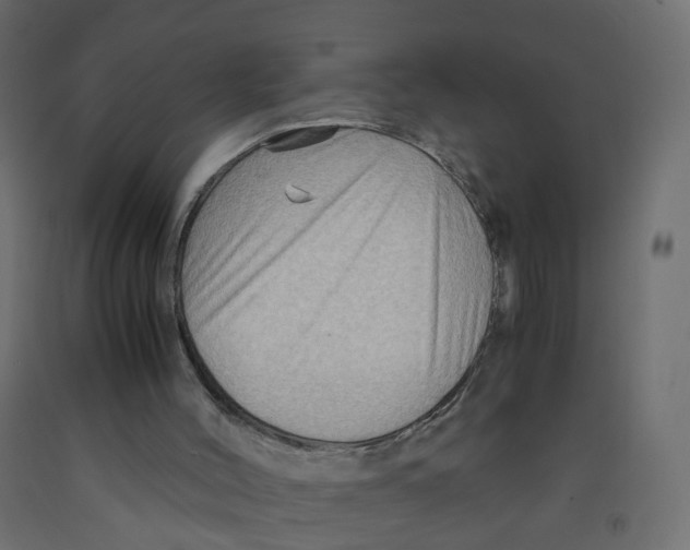 X0000091960004200710041038