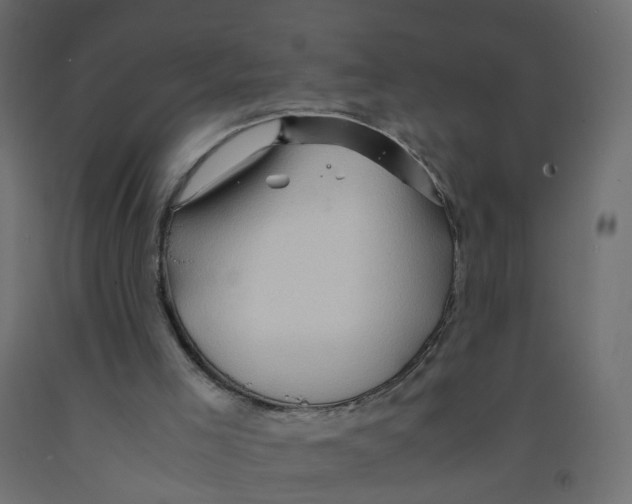 X0000091960005200710041038