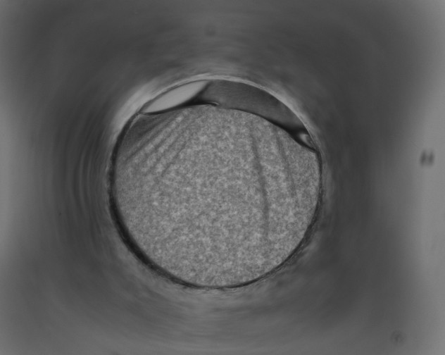 X0000091960007200710041038