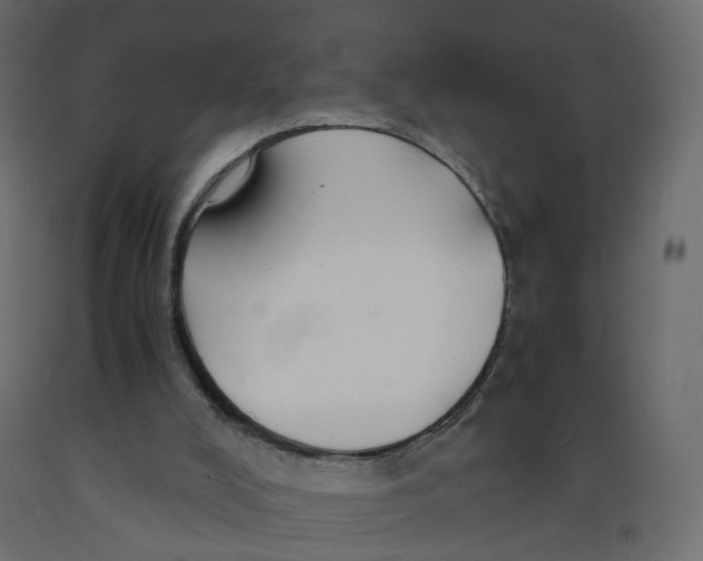 X0000091960008200710041038