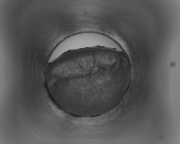 X0000091960009200710041038