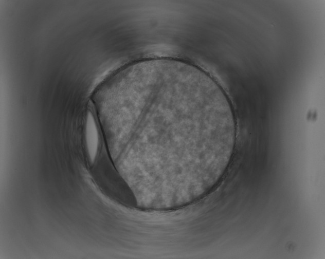 X0000091960010200710041038