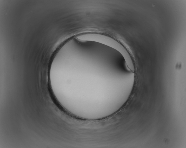 X0000091960011200710041038