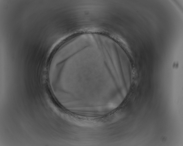 X0000091960012200710041038