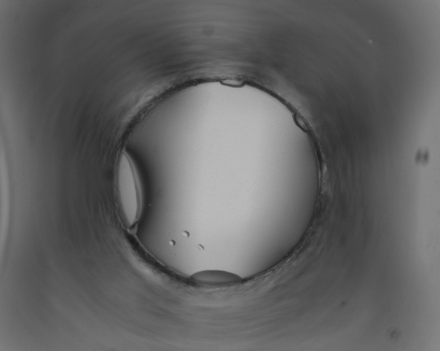 X0000091960013200710041038