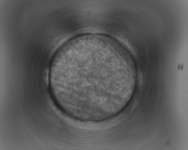 X0000091960014200710041038