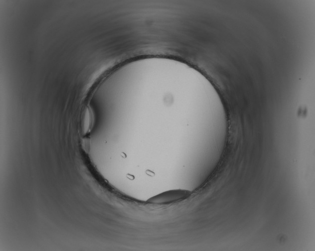 X0000091960015200710041038