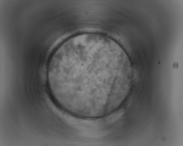 X0000091960016200710041038