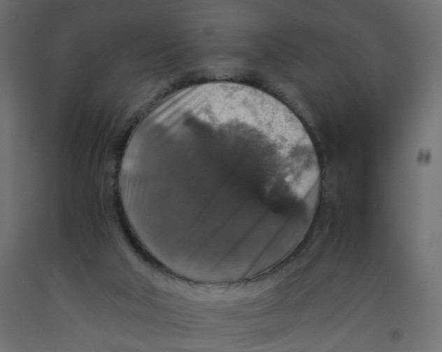 X0000091960018200710041038