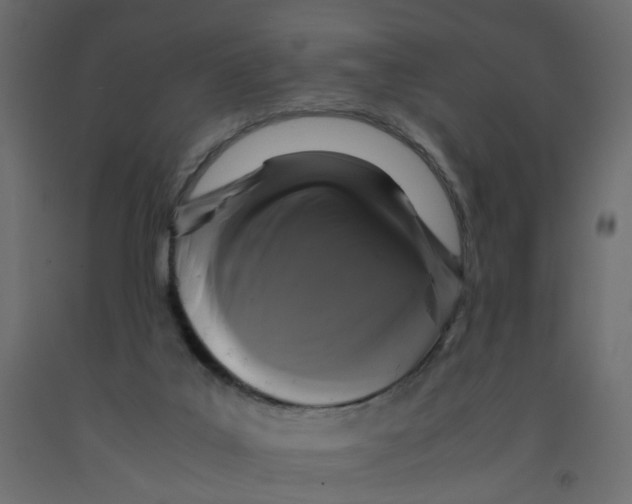 X0000091960019200710041038