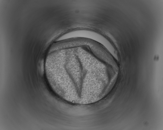 X0000091960020200710041038