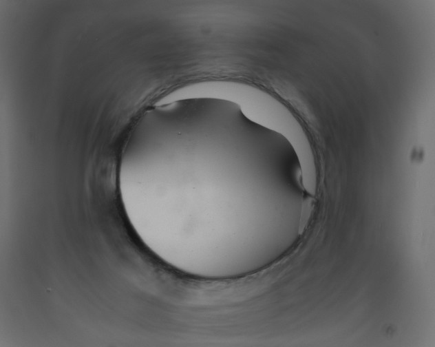 X0000091960021200710041038