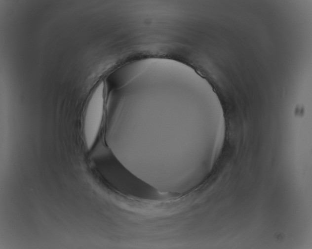 X0000091960023200710041038