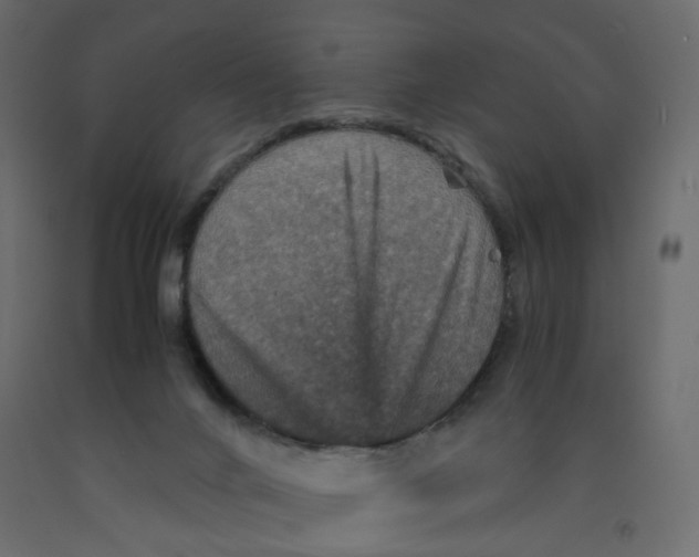 X0000091960024200710041038