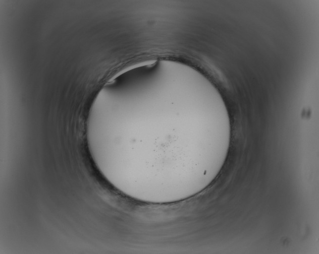 X0000091960025200710041038