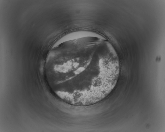 X0000091960026200710041038