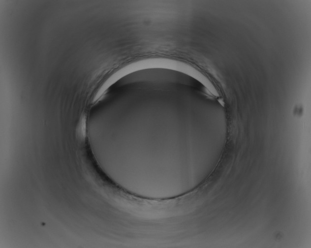 X0000091960027200710041038