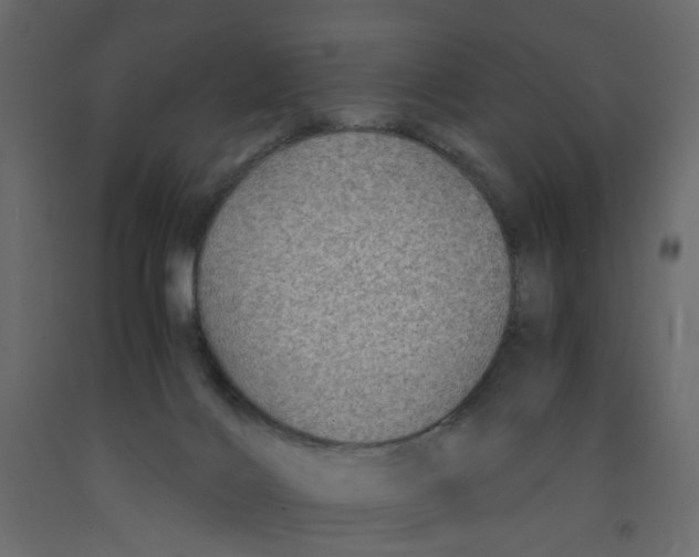 X0000091960028200710041038