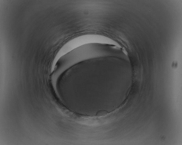 X0000091960029200710041038