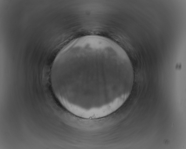 X0000091960030200710041038