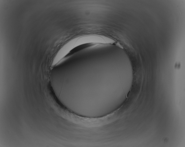 X0000091960031200710041038