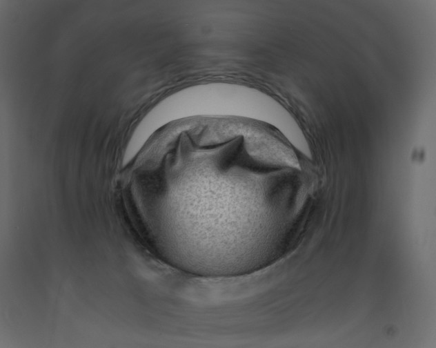 X0000091960033200710041038