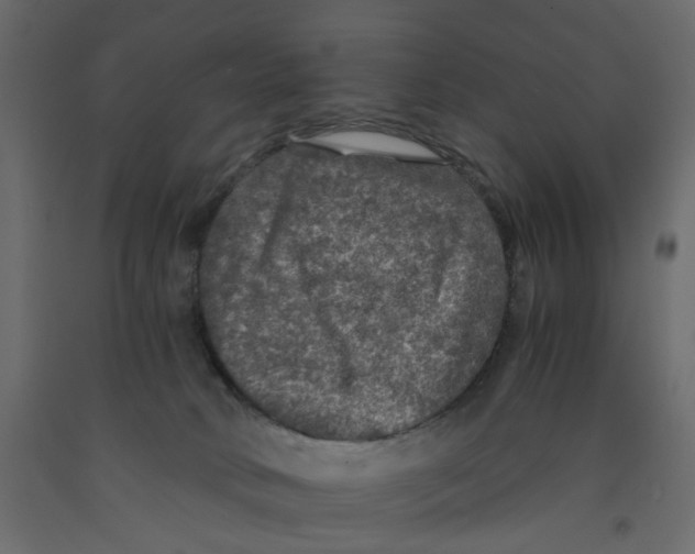 X0000091960034200710041038