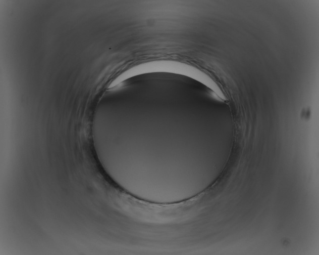 X0000091960035200710041038