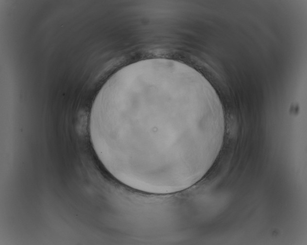 X0000091960036200710041038