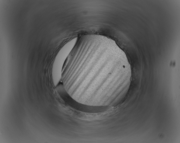 X0000091960037200710041038