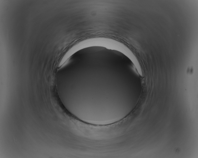 X0000091960039200710041038