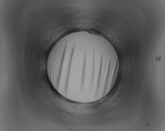 X0000091960040200710041038