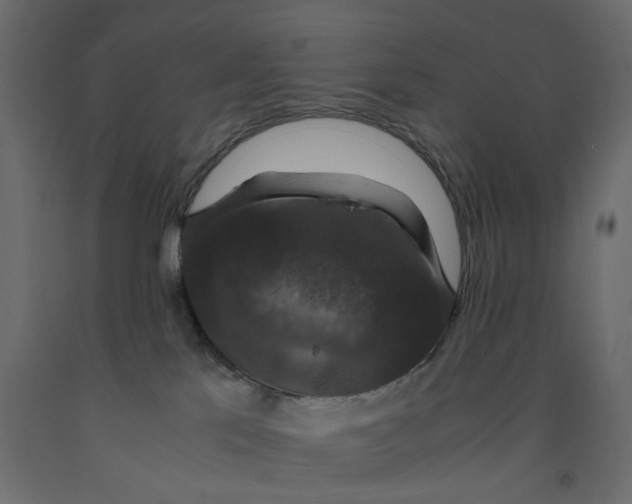 X0000091960041200710041037