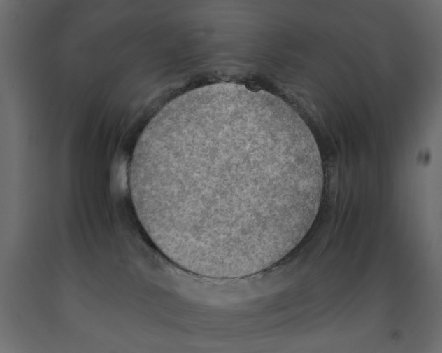 X0000091960042200710041037