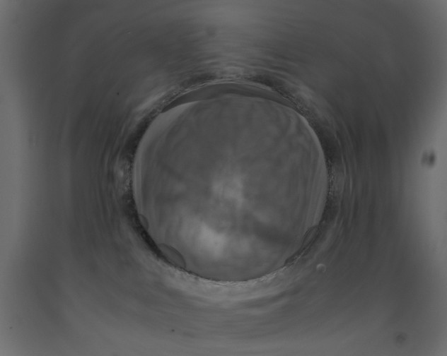 X0000091960043200710041037