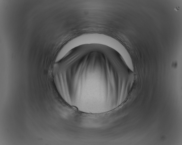 X0000091960045200710041037