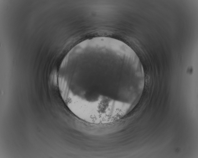 X0000091960046200710041037