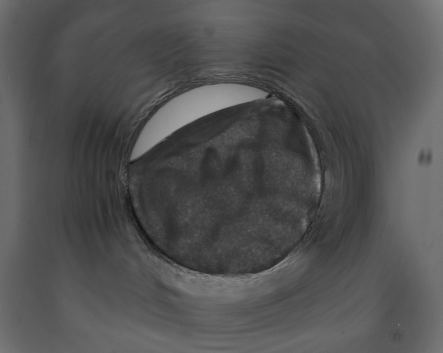 X0000091960048200710041037