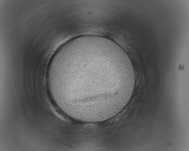 X0000091960050200710041037