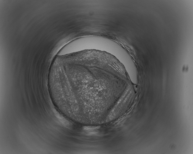 X0000091960051200710041037