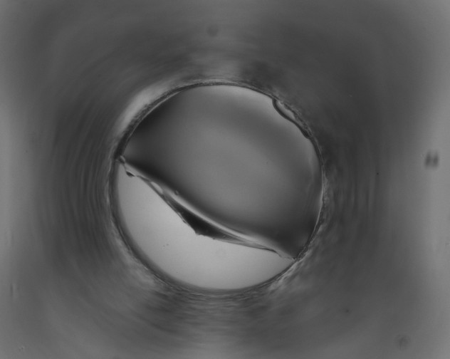 X0000091960054200710041037