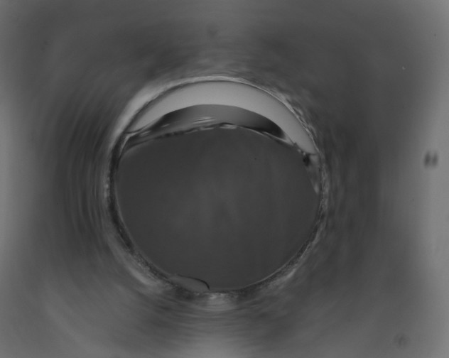 X0000091960056200710041037