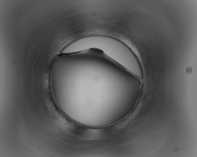 X0000091960057200710041037