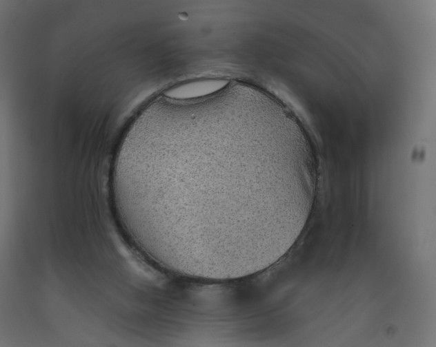 X0000091960058200710041037