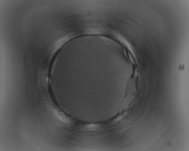 X0000091960059200710041037